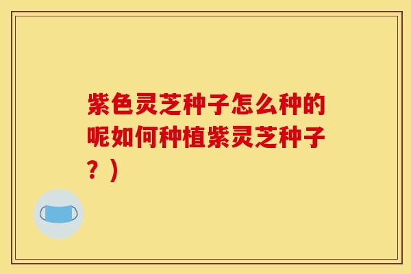 紫色灵芝种子怎么种的呢如何种植紫灵芝种子？)