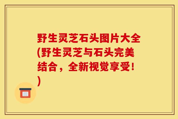野生灵芝石头图片大全(野生灵芝与石头完美结合,全新视觉享受!)