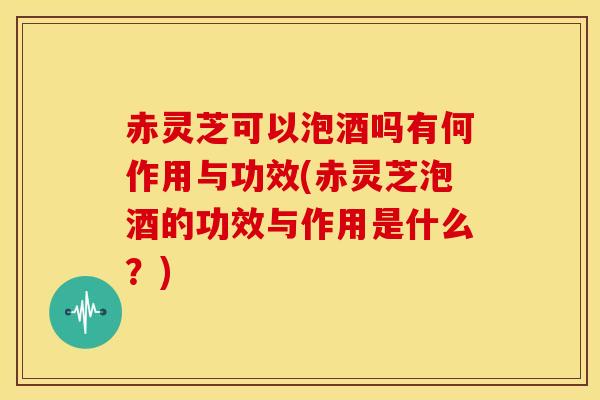 赤灵芝可以泡酒吗有何作用与功效(赤灵芝泡酒的功效与作用是什么?)