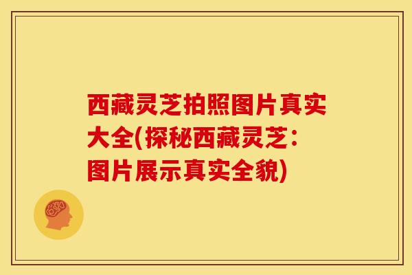 西藏灵芝拍照图片真实大全(探秘西藏灵芝:图片展示真实全貌)