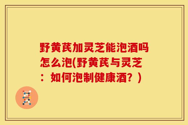野黄芪加灵芝能泡酒吗怎么泡(野黄芪与灵芝:如何泡制健康酒?)