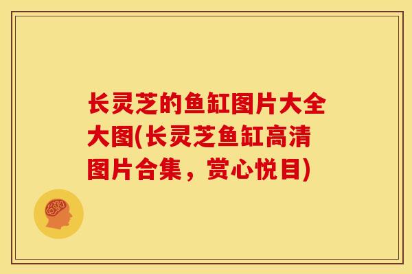 长灵芝的鱼缸图片大全大图(长灵芝鱼缸高清图片合集,赏心悦目)