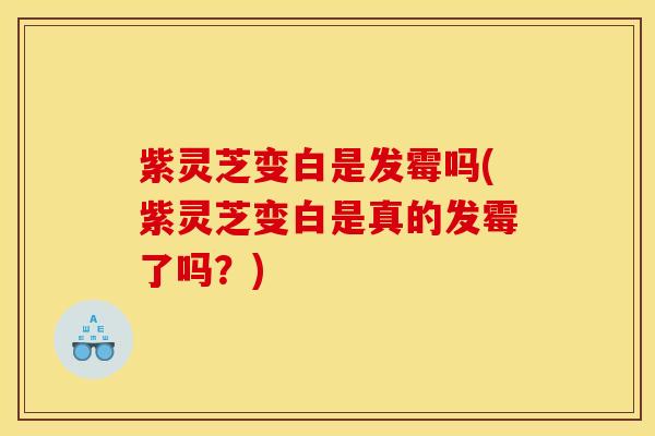 紫灵芝变白是发霉吗(紫灵芝变白是真的发霉了吗?)
