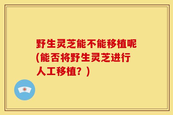 野生灵芝能不能移植呢(能否将野生灵芝进行人工移植?)