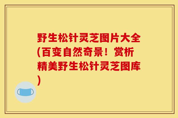 野生松针灵芝图片大全(百变自然奇景!赏析精美野生松针灵芝图库)