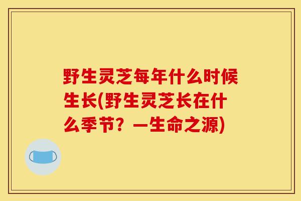 野生灵芝每年什么时候生长(野生灵芝长在什么季节?—生命之源)