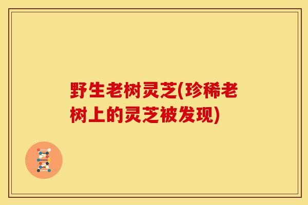野生老树灵芝(珍稀老树上的灵芝被发现)
