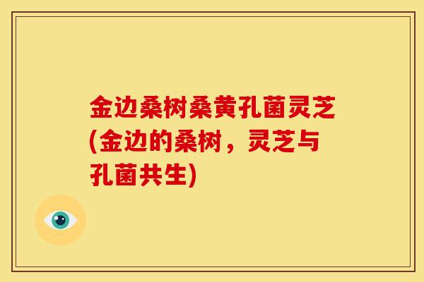 金边桑树桑黄孔菌灵芝(金边的桑树,灵芝与孔菌共生)