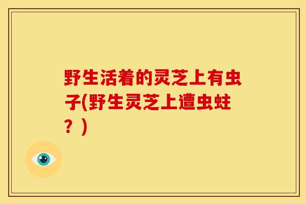 野生活着的灵芝上有虫子(野生灵芝上遭虫蛀?)