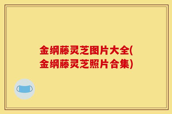 金纲藤灵芝图片大全(金纲藤灵芝照片合集)