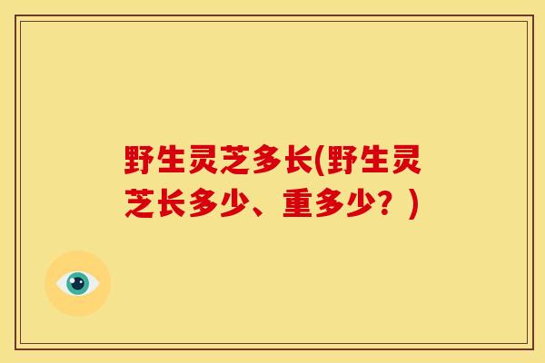 野生灵芝多长(野生灵芝长多少、重多少?)