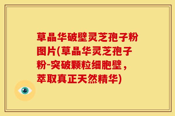 草晶华破壁灵芝孢子粉图片(草晶华灵芝孢子粉-突破颗粒细胞壁,萃取真正天然精华)