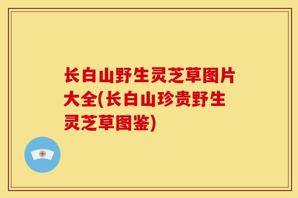 长白山野生灵芝草图片大全(长白山珍贵野生灵芝草图鉴)