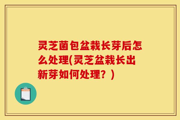 灵芝菌包盆栽长芽后怎么处理(灵芝盆栽长出新芽如何处理?)
