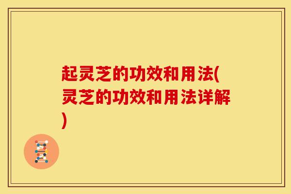 起灵芝的功效和用法(灵芝的功效和用法详解)