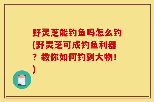 野灵芝能钓鱼吗怎么钓(野灵芝可成钓鱼利器？教你如何钓到大物！)