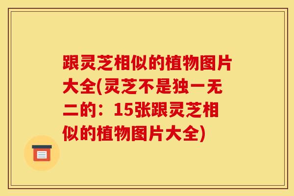 跟灵芝相似的植物图片大全(灵芝不是独一无二的：15张跟灵芝相似的植物图片大全)