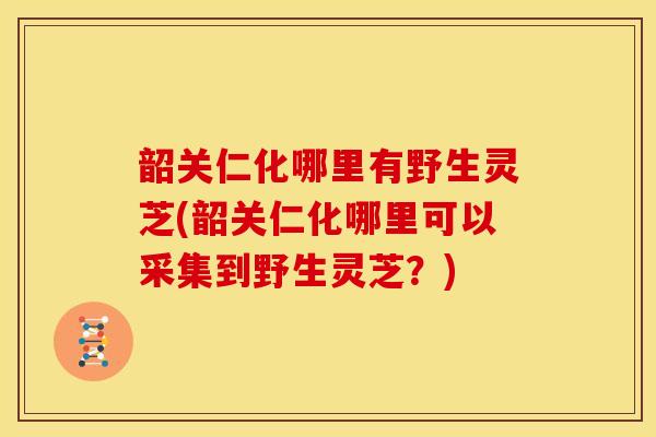 韶关仁化哪里有野生灵芝(韶关仁化哪里可以采集到野生灵芝?)