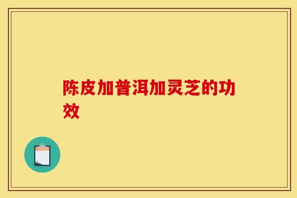 陈皮加普洱加灵芝的功效
