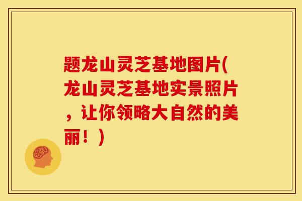 题龙山灵芝基地图片(龙山灵芝基地实景照片,让你领略大自然的美丽!)