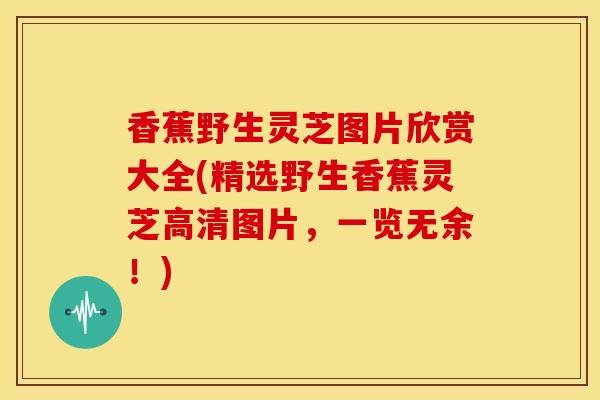 香蕉野生灵芝图片欣赏大全(精选野生香蕉灵芝高清图片，一览无余！)