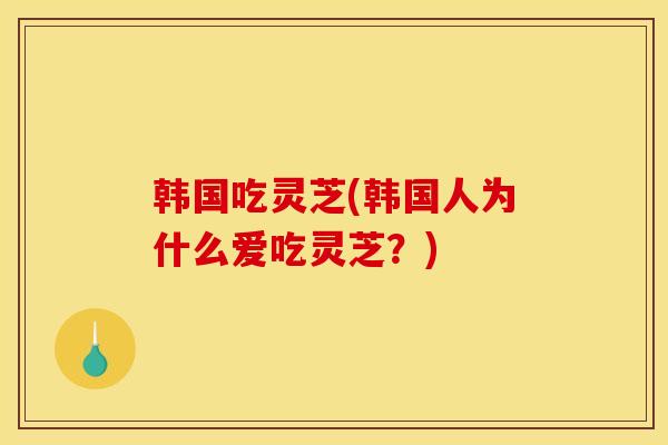 韩国吃灵芝(韩国人为什么爱吃灵芝?)