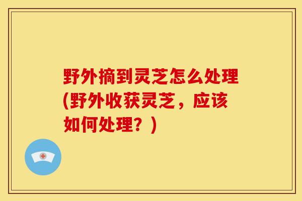野外摘到灵芝怎么处理(野外收获灵芝,应该如何处理?)