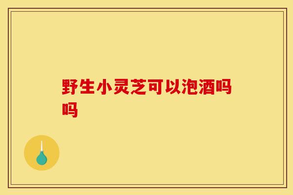 野生小灵芝可以泡酒吗吗