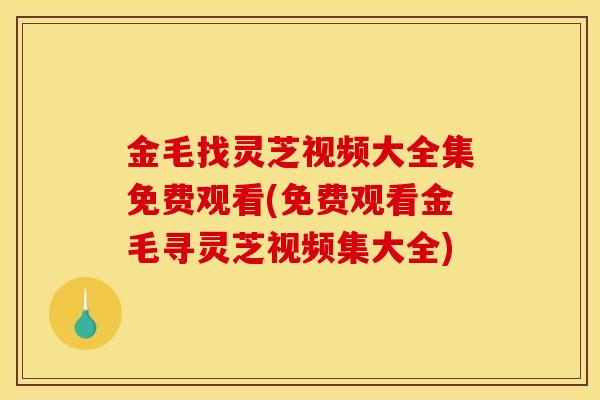 金毛找灵芝视频大全集免费观看(免费观看金毛寻灵芝视频集大全)
