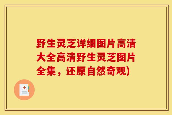 野生灵芝详细图片高清大全高清野生灵芝图片全集,还原自然奇观)