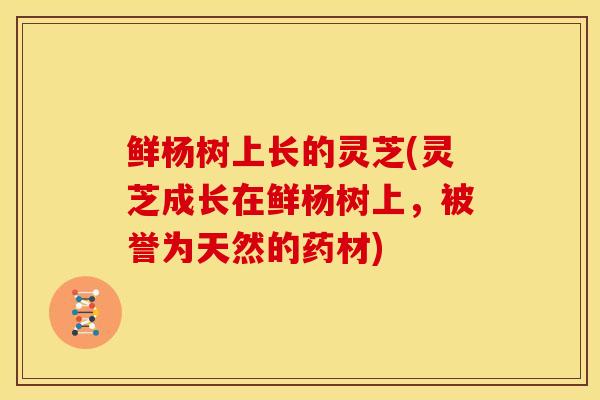 鲜杨树上长的灵芝(灵芝成长在鲜杨树上,被誉为天然的药材)