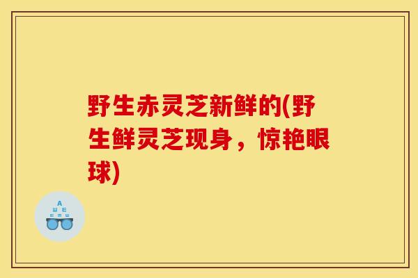 野生赤灵芝新鲜的(野生鲜灵芝现身,惊艳眼球)