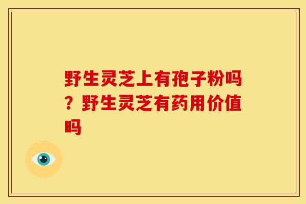 野生灵芝上有孢子粉吗?野生灵芝有药用价值吗
