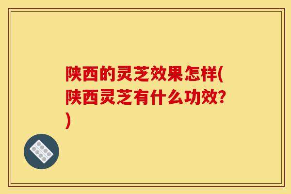 陕西的灵芝效果怎样(陕西灵芝有什么功效?)