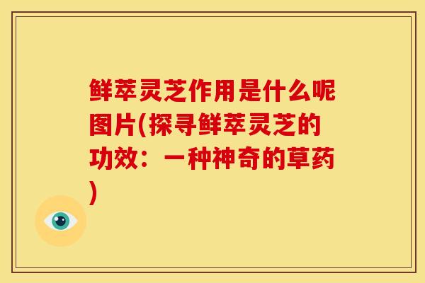 鲜萃灵芝作用是什么呢图片(探寻鲜萃灵芝的功效:一种神奇的草药)