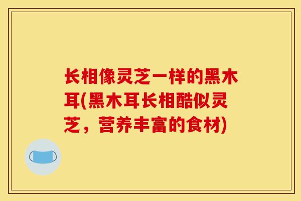 长相像灵芝一样的黑木耳(黑木耳长相酷似灵芝,营养丰富的食材)
