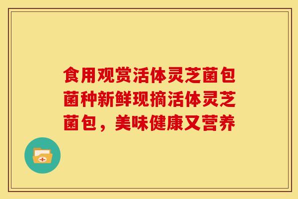 食用观赏活体灵芝菌包菌种新鲜现摘活体灵芝菌包，美味健康又营养