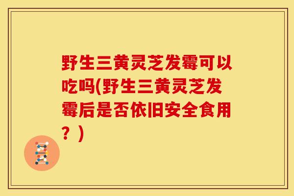 野生三黄灵芝发霉可以吃吗(野生三黄灵芝发霉后是否依旧安全食用?)