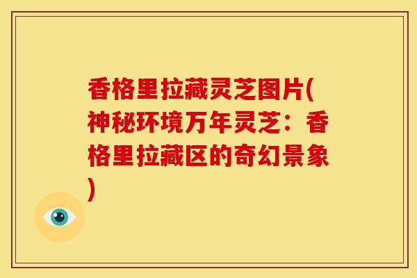 香格里拉藏灵芝图片(神秘环境万年灵芝：香格里拉藏区的奇幻景象)