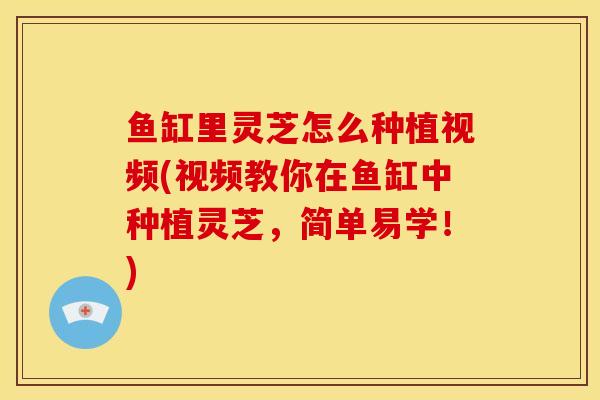 鱼缸里灵芝怎么种植视频(视频教你在鱼缸中种植灵芝,简单易学!)