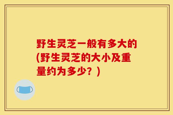 野生灵芝一般有多大的(野生灵芝的大小及重量约为多少？)