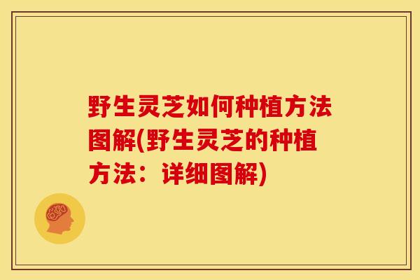 野生灵芝如何种植方法图解(野生灵芝的种植方法：详细图解)