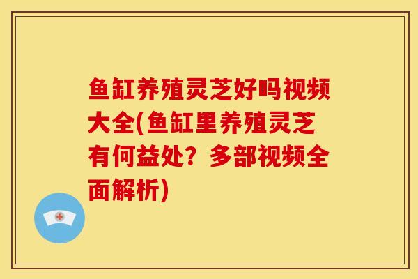 鱼缸养殖灵芝好吗视频大全(鱼缸里养殖灵芝有何益处？多部视频全面解析)
