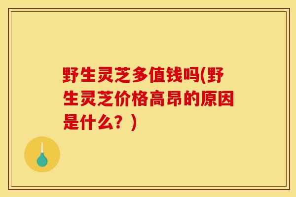 野生灵芝多值钱吗(野生灵芝价格高昂的原因是什么？)