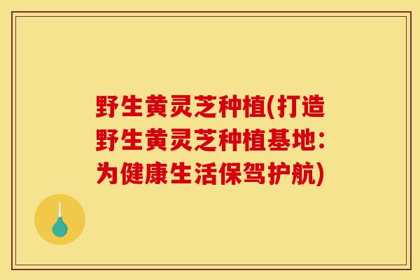 野生黄灵芝种植(打造野生黄灵芝种植基地:为健康生活保驾护航)