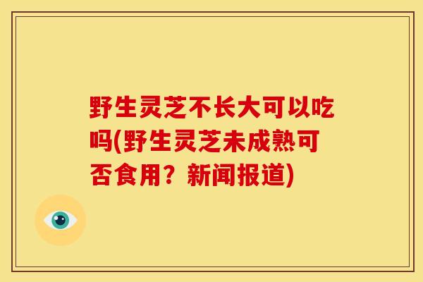 野生灵芝不长大可以吃吗(野生灵芝未成熟可否食用?新闻报道)