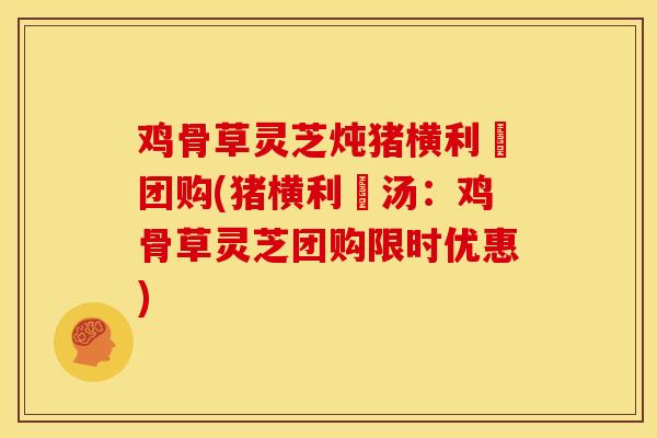 鸡骨草灵芝炖猪横利脷团购(猪横利脷汤：鸡骨草灵芝团购限时优惠)