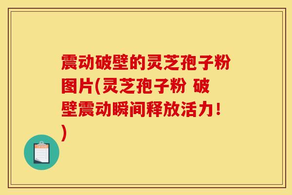 震动破壁的灵芝孢子粉图片(灵芝孢子粉 破壁震动瞬间释放活力!)