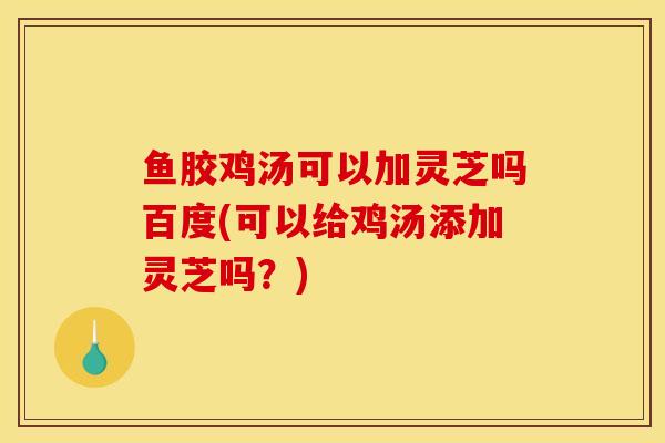 鱼胶鸡汤可以加灵芝吗百度(可以给鸡汤添加灵芝吗?)