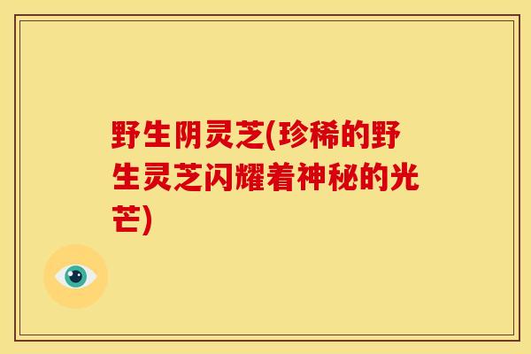 野生阴灵芝(珍稀的野生灵芝闪耀着神秘的光芒)